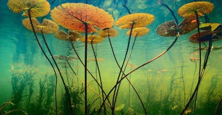 Dünyanın en güzel 40 doğa fotoğrafı