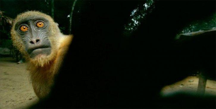 Dünyanın en güzel 40 doğa fotoğrafı