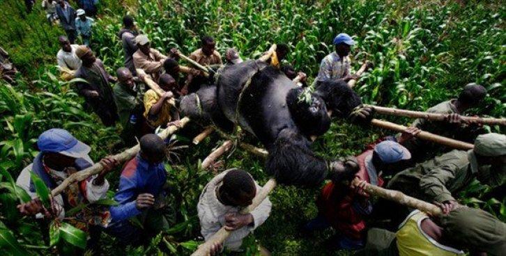 Dünyanın en güzel 40 doğa fotoğrafı