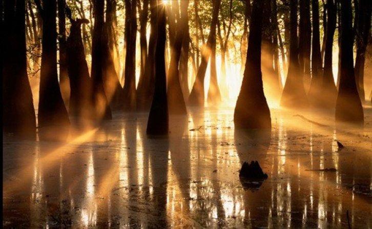 Dünyanın en güzel 40 doğa fotoğrafı