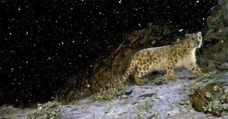 Dünyanın en güzel 40 doğa fotoğrafı