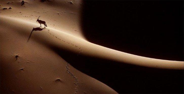 Dünyanın en güzel 40 doğa fotoğrafı