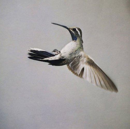 Dünyanın en güzel 40 doğa fotoğrafı