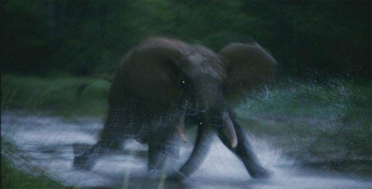 Dünyanın en güzel 40 doğa fotoğrafı