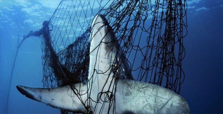 Dünyanın en güzel 40 doğa fotoğrafı