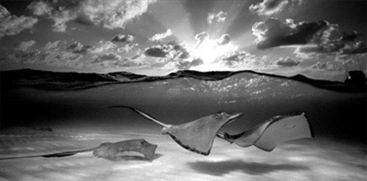 Dünyanın en güzel 40 doğa fotoğrafı