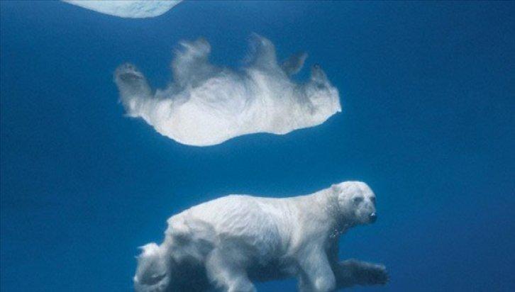 Dünyanın en güzel 40 doğa fotoğrafı