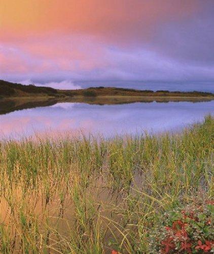 Dünyanın en güzel 40 doğa fotoğrafı