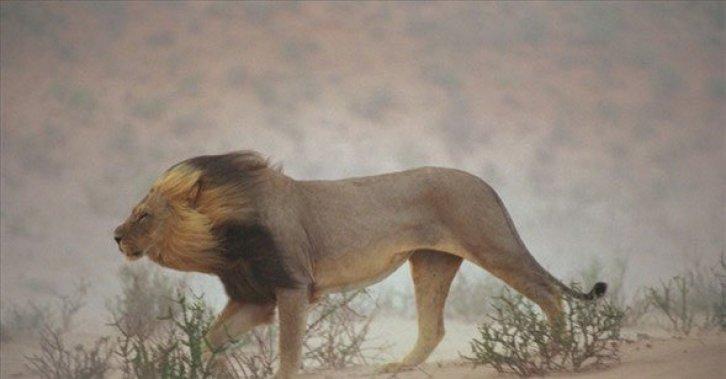 Dünyanın en güzel 40 doğa fotoğrafı