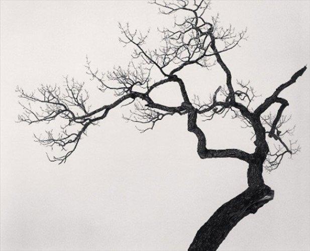 Dünyanın en güzel 40 doğa fotoğrafı