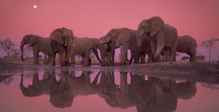 Dünyanın en güzel 40 doğa fotoğrafı