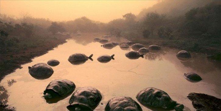 Dünyanın en güzel 40 doğa fotoğrafı