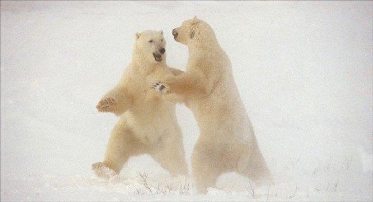 Dünyanın en güzel 40 doğa fotoğrafı
