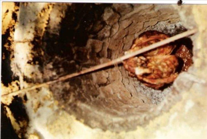 81 ilin yöresel yemekleri  