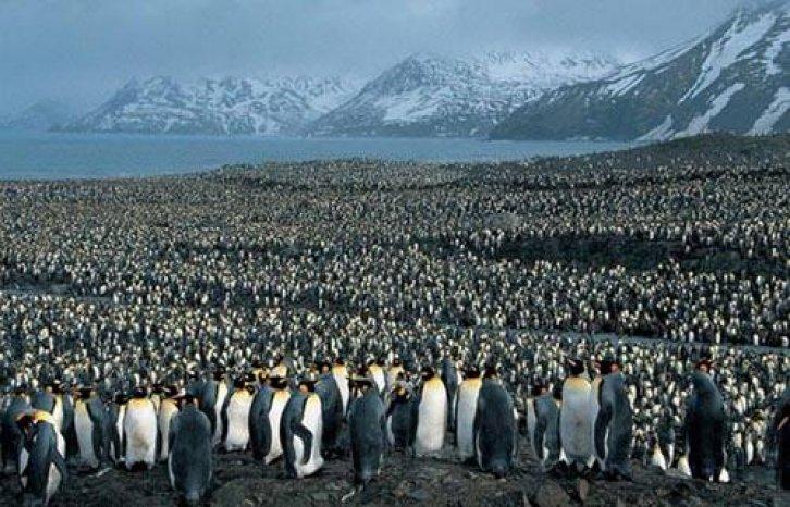 Arşivlik fotoğraflar