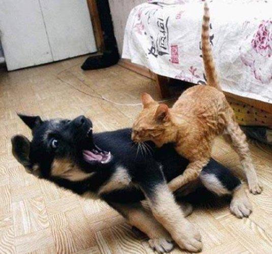 Arşivlik fotoğraflar