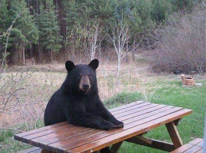 Arşivlik fotoğraflar