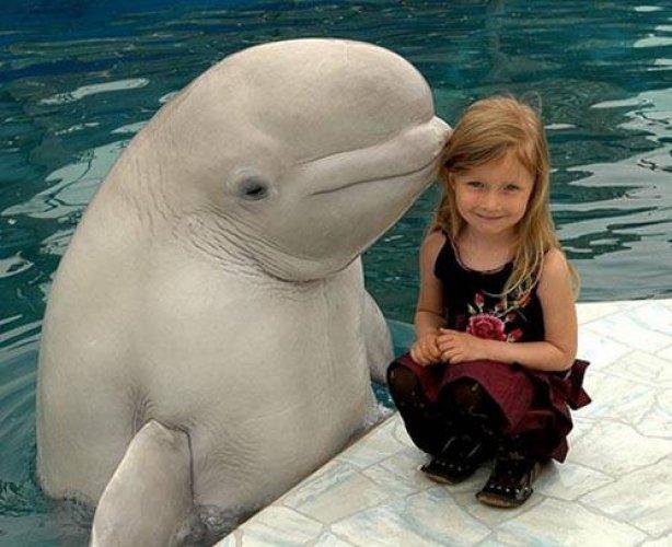 Arşivlik fotoğraflar