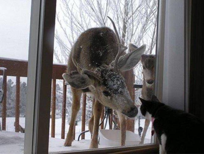 Arşivlik fotoğraflar