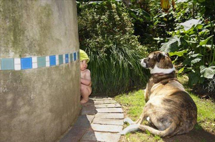 Arşivlik fotoğraflar