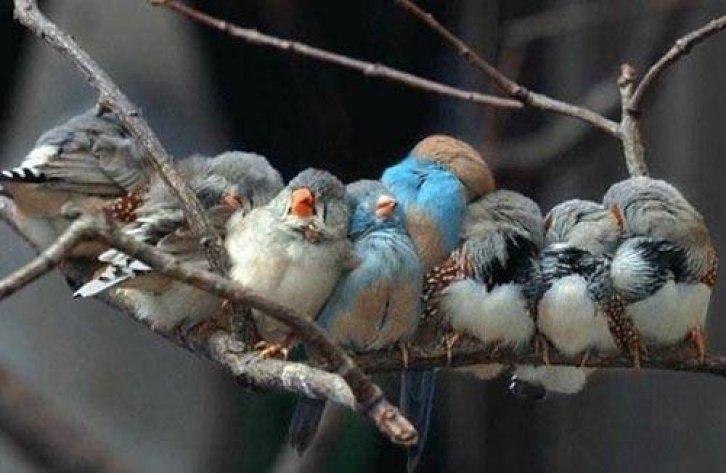 Arşivlik fotoğraflar