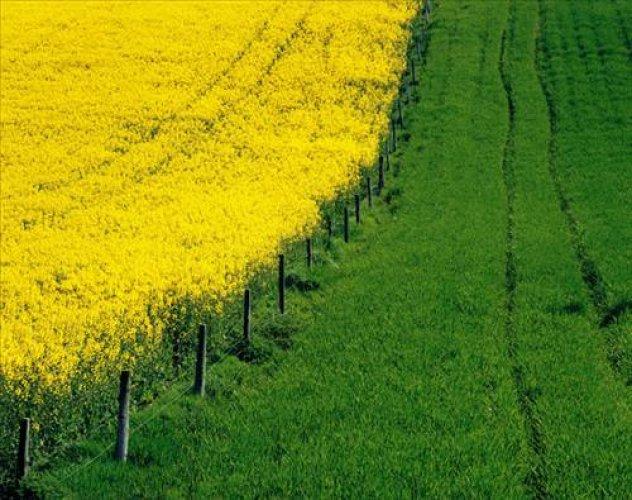 Arşivlik fotoğraflar