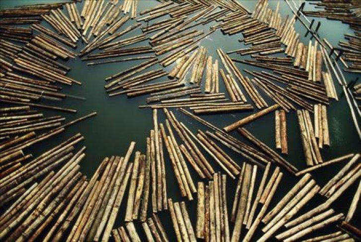 Arşivlik fotoğraflar