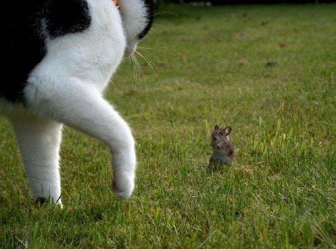 Arşivlik fotoğraflar