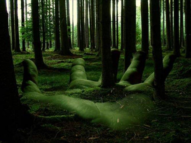 En iyi masaüstü resimleri