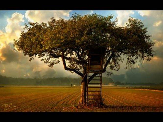 En iyi masaüstü resimleri