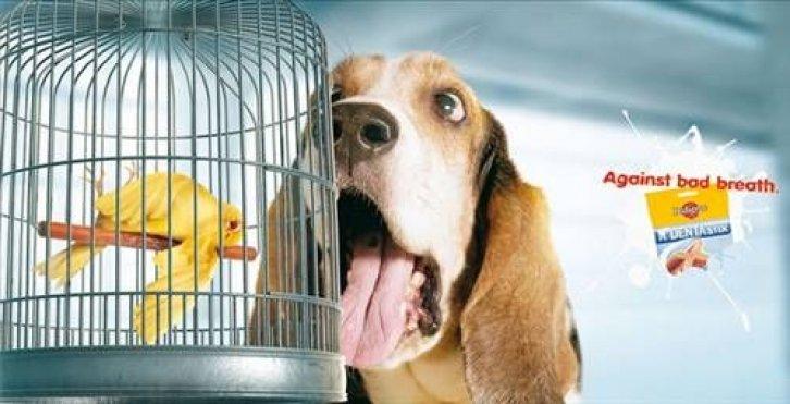 Sıradışı reklamlar 