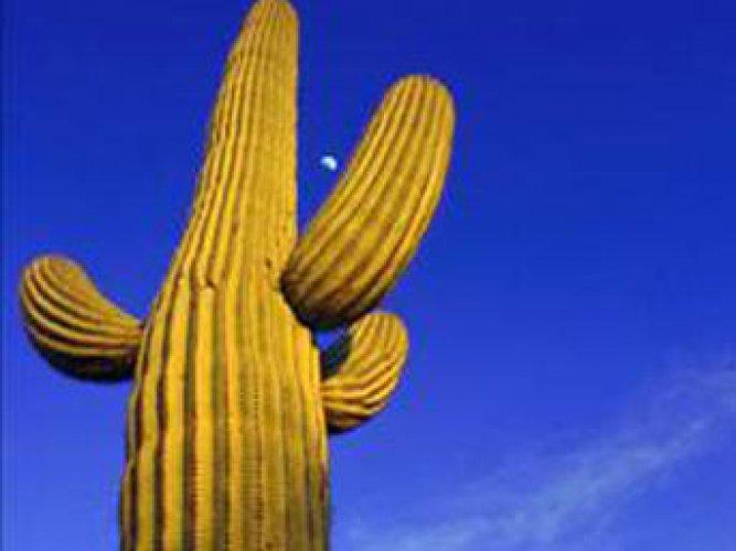 En ilginç ölümler