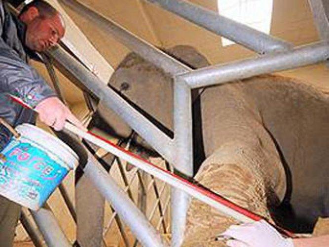 En ilginç ölümler