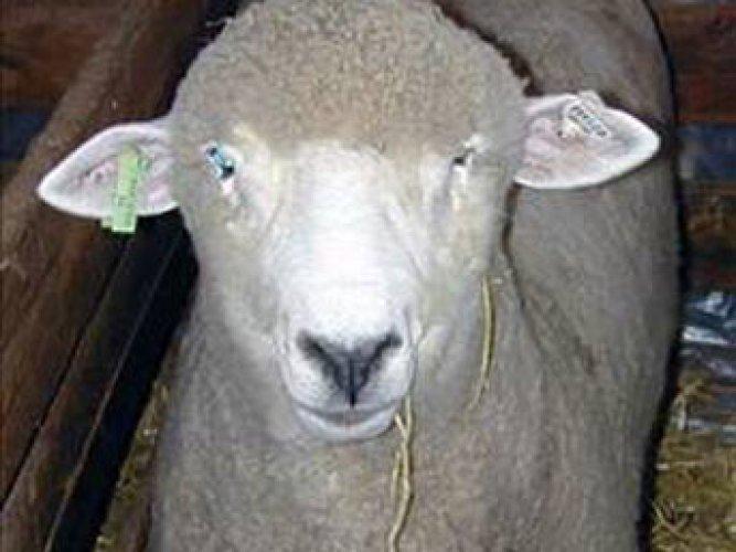 En ilginç ölümler