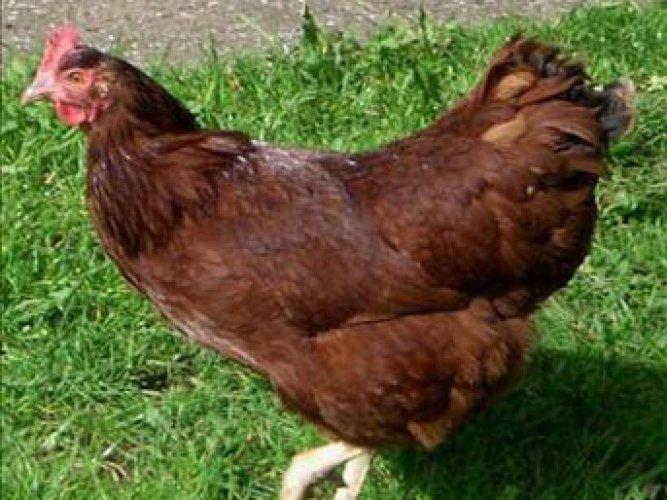 En ilginç ölümler