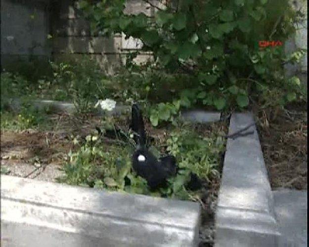 İstanbul’da çatışma: 1 polis şehit - Resim 2