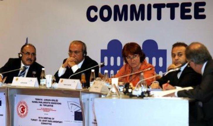 Türkiye-AB Karma Parlamento Komisyonu Toplantısı - Resim 1