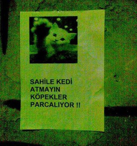 En yeni yurdum insanı manzaraları