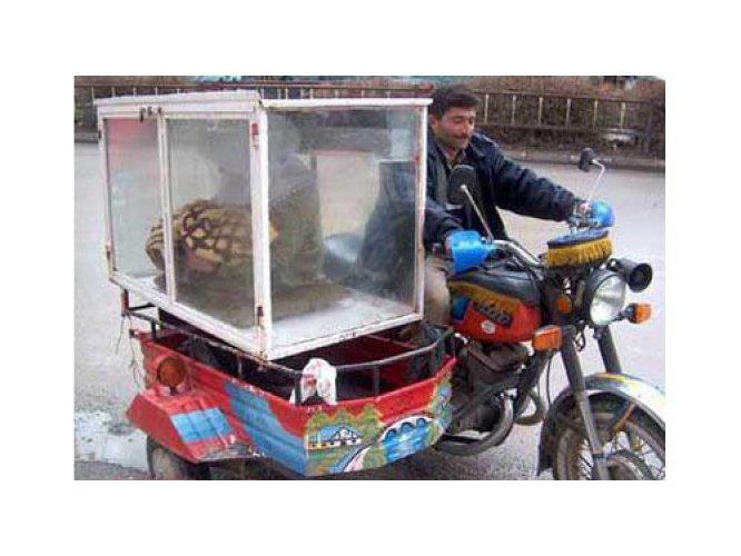 En yeni yurdum insanı manzaraları