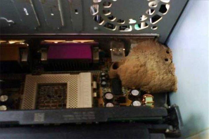 En yeni yurdum insanı manzaraları