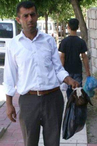 En yeni yurdum insanı manzaraları