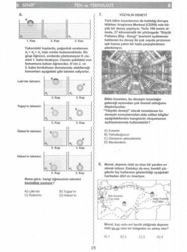 İşte SBS soruları