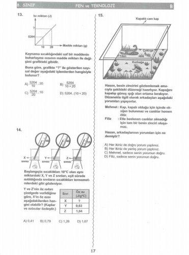 İşte SBS soruları