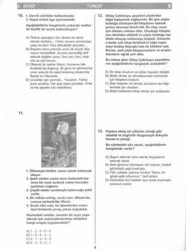 İşte SBS soruları