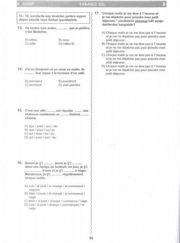 İşte SBS soruları