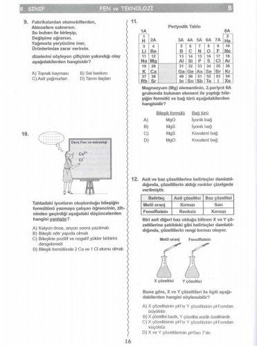 İşte SBS soruları