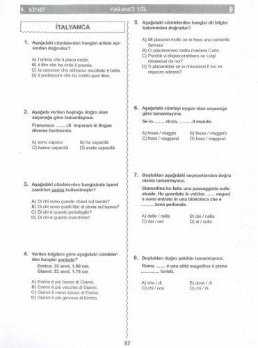 İşte SBS soruları