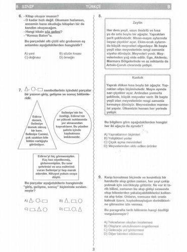 İşte SBS soruları
