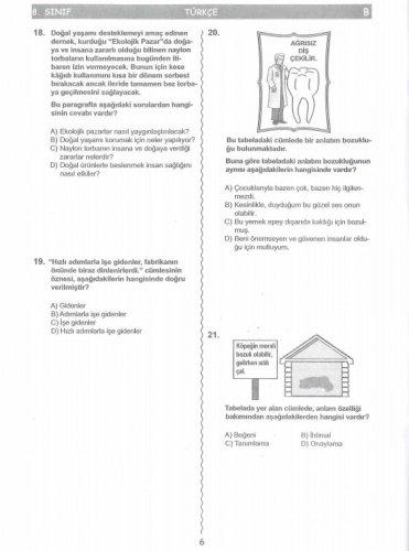 İşte SBS soruları