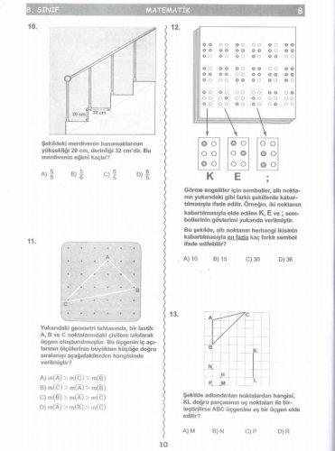 İşte SBS soruları
